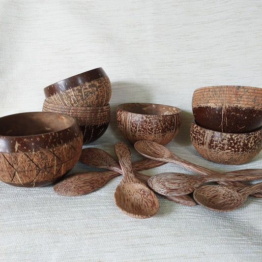 Natural Coconut Shell Bowl and Spoon set of 6