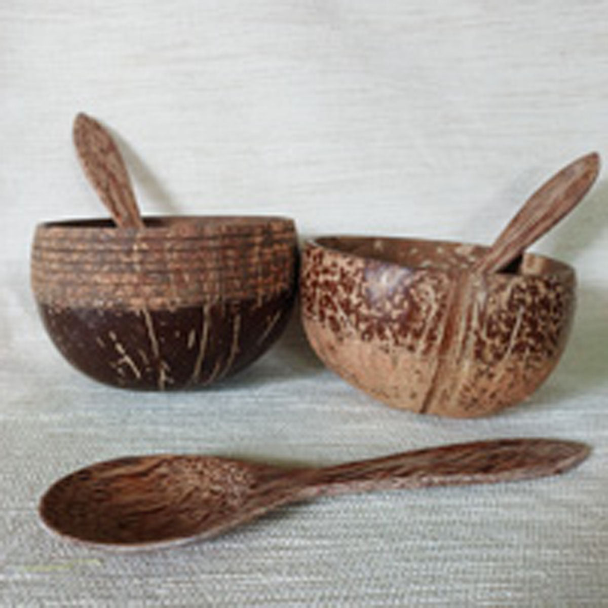 Natural Coconut Shell Bowl and Spoon set of 6