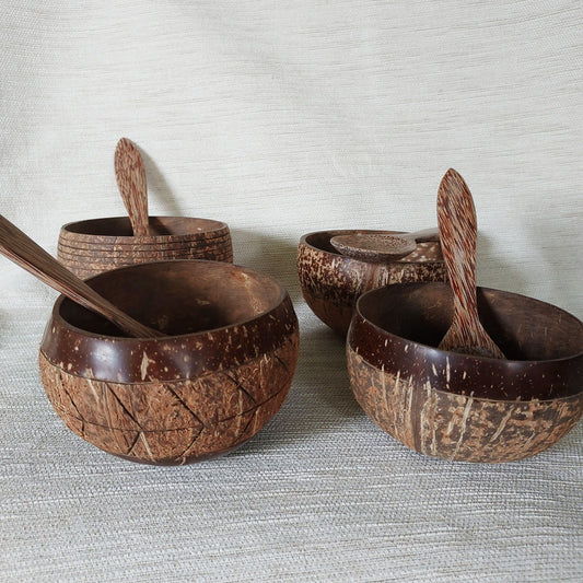 Natural Coconut Shell Bowl and Spoon set of 4