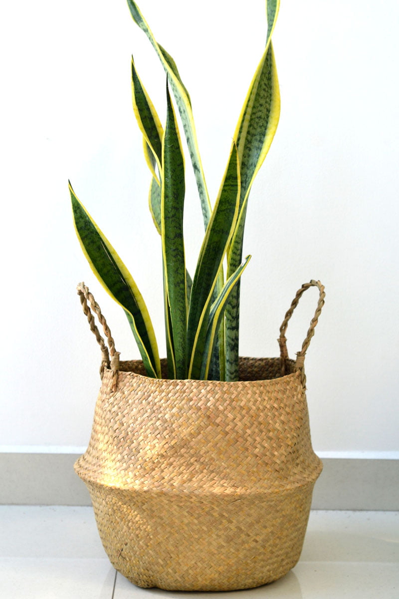 Wicker/seagrass/straw belly basket