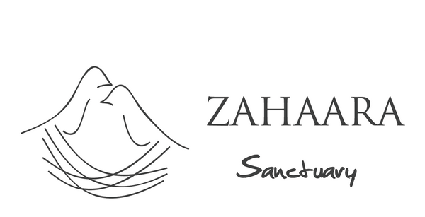 Beanbags and Cushions by ZAHAARA Sanctuary