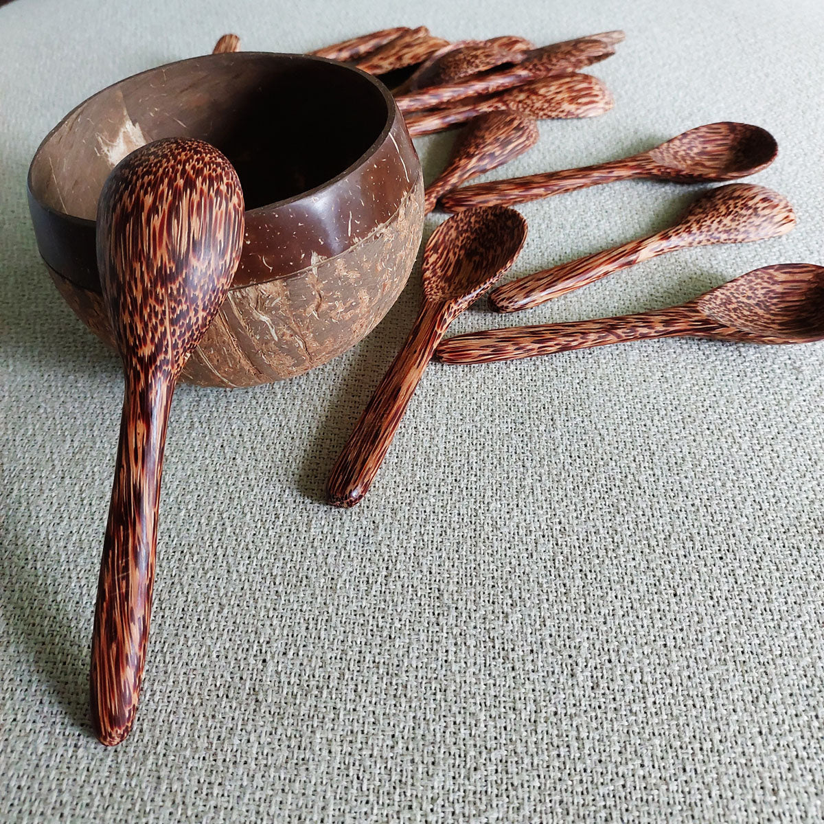 Natural Coconut wood Spoons