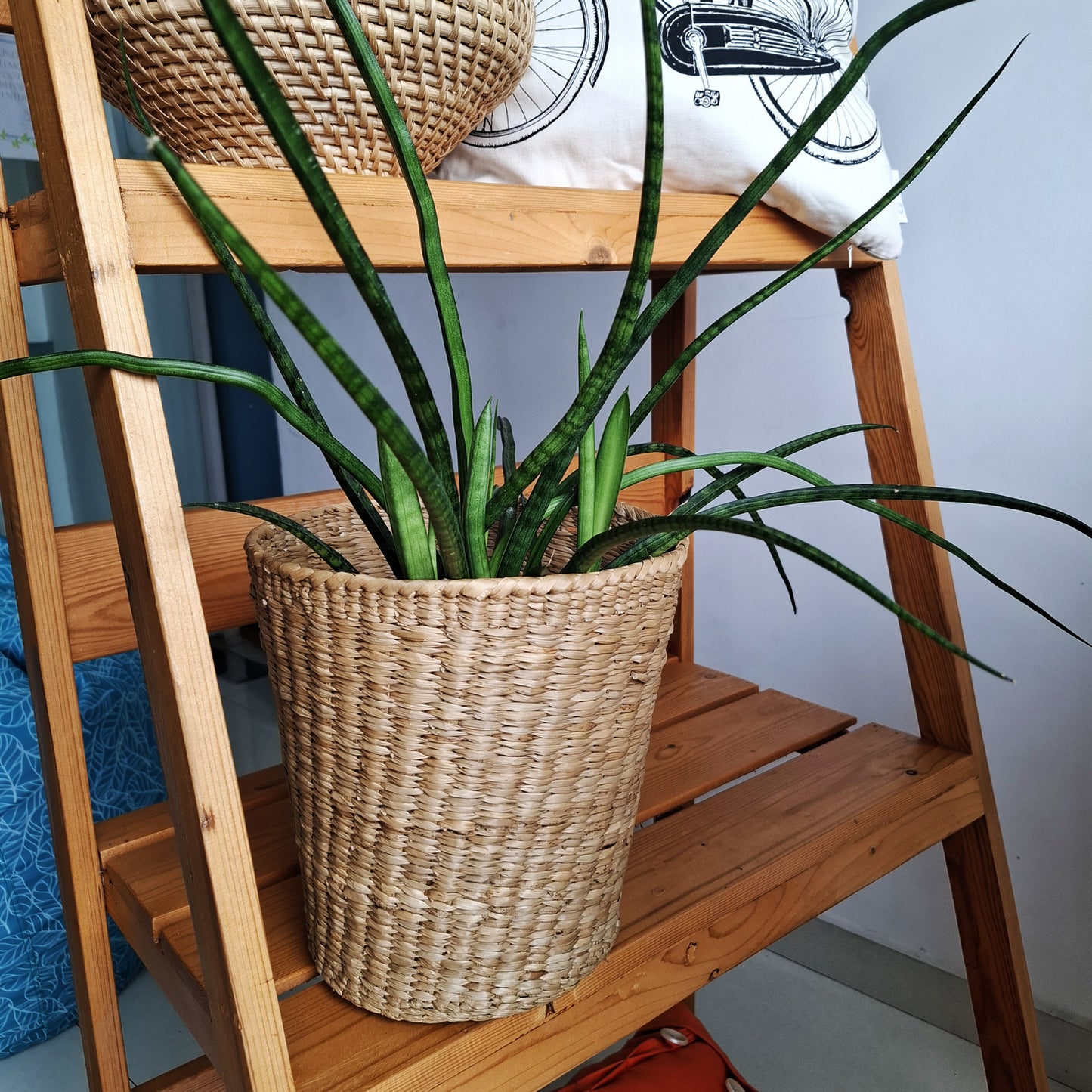 Plant in straw/seagrass basket