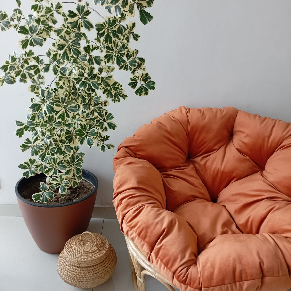 CATALINA Tan Orange Papasan Chair Cushion